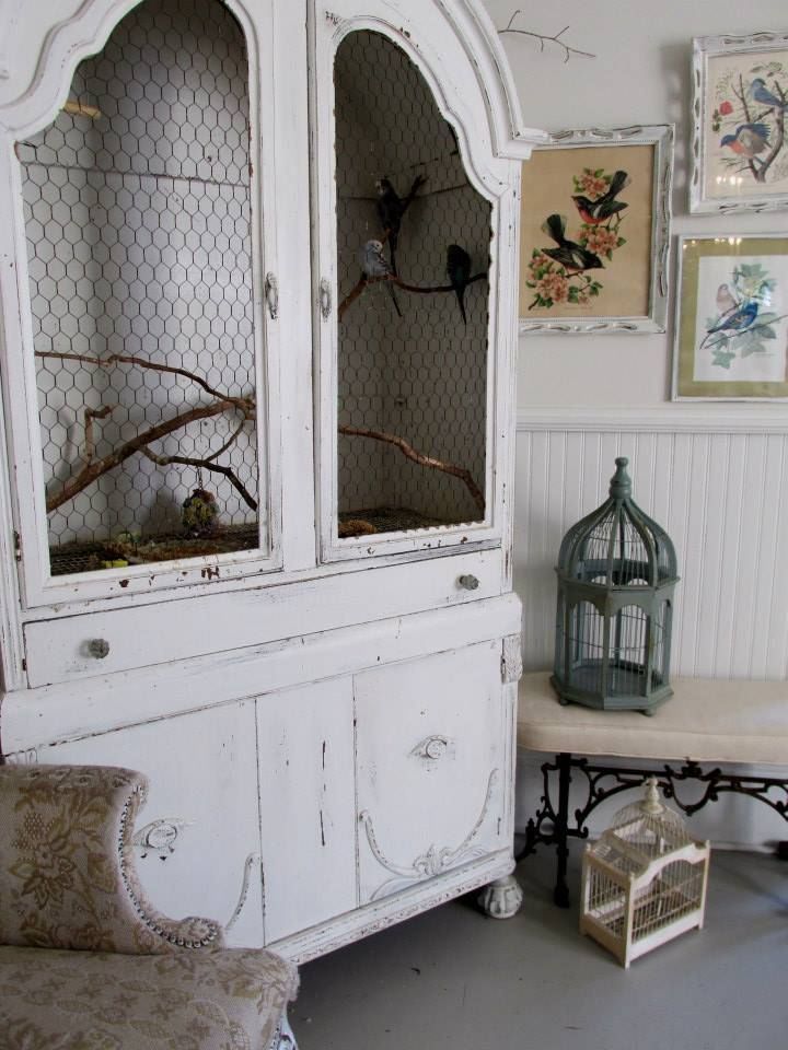 Armoire repurposed as a bird cage for real pet birds