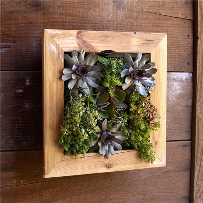 8 Simple Ways To Create An Indoor Vertical Garden In Your Home