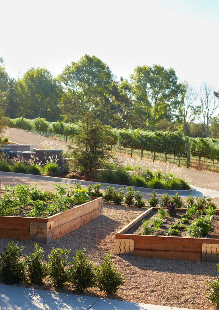 Beautiful Santa Barbara garden