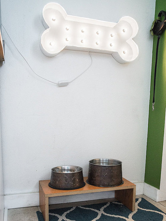 Bone-shaped marquee sign hung above dog dishes