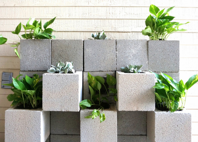 A DIY Cinder Block Succulent Wall with a Twist | Decoist