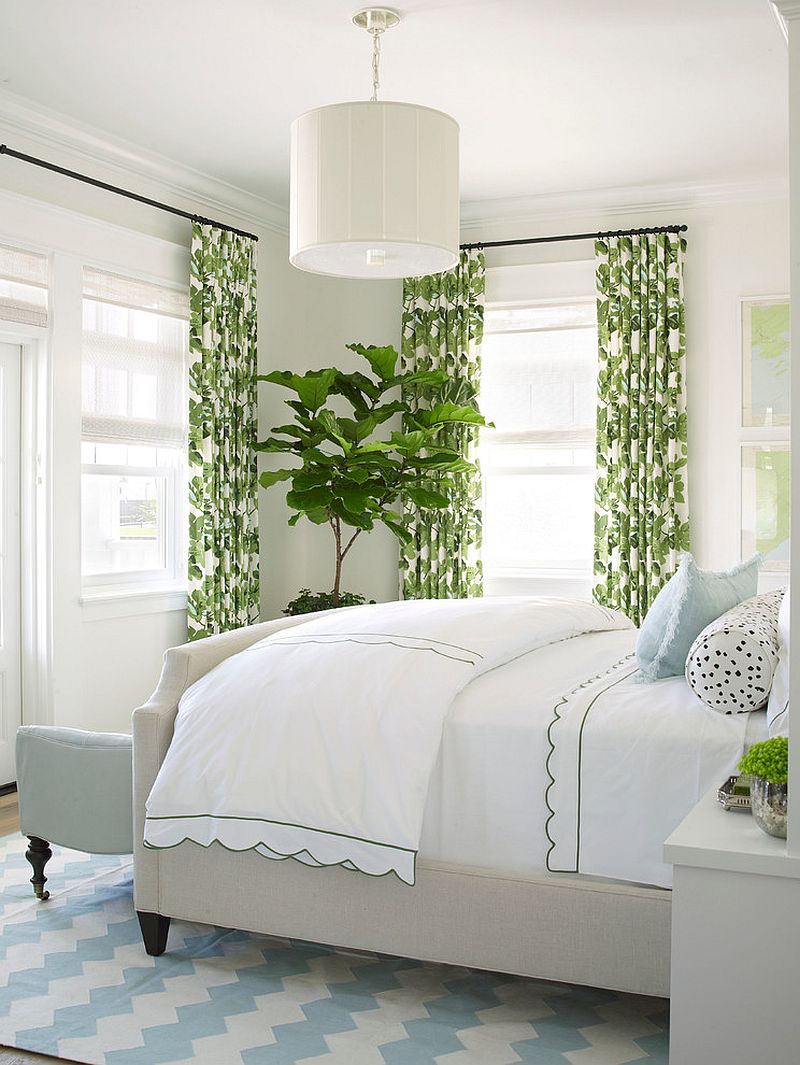 Drapes and fiddle-leaf fig tree add color to the white bedroom [Design: Burnham Design]