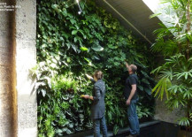 two people pick herbs off florafelt vertical garden