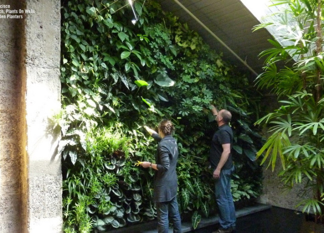 8 Simple Ways To Create An Indoor Vertical Garden In Your Home