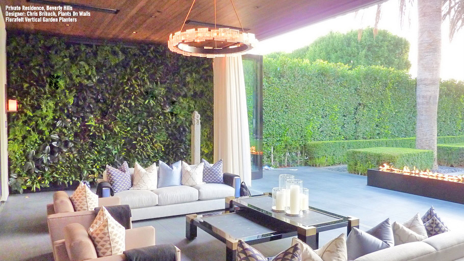 vertical garden on wall of outdoor patio