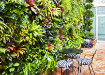 FloraFelt indoor vertical garden on cafe wall