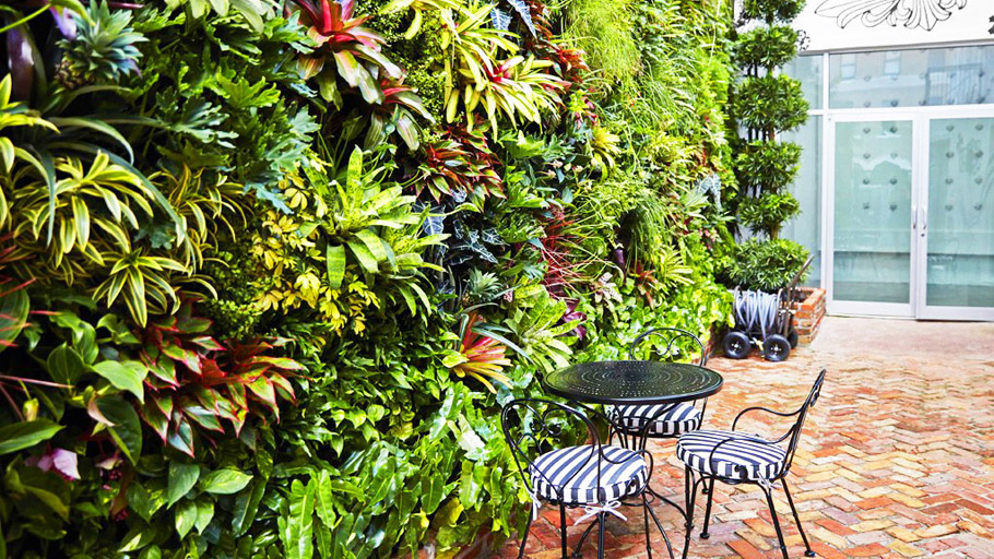 FloraFelt indoor vertical garden on cafe wall