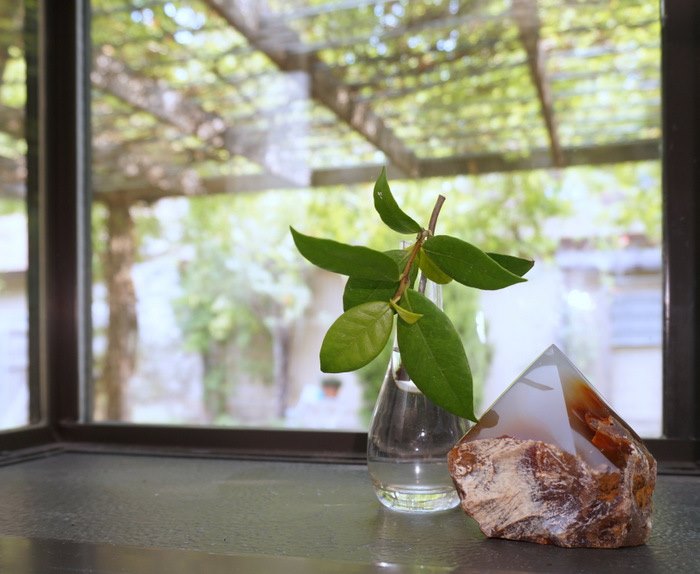 Garden window shelf styling