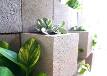 Golden-pothos-and-Kalanchoe-in-a-cinder-block-wall-217x155