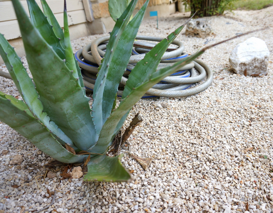 Gravel garden weed blocker woes