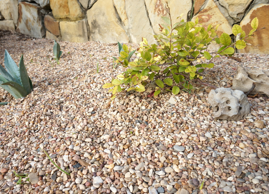 Graveled area without landscape fabric