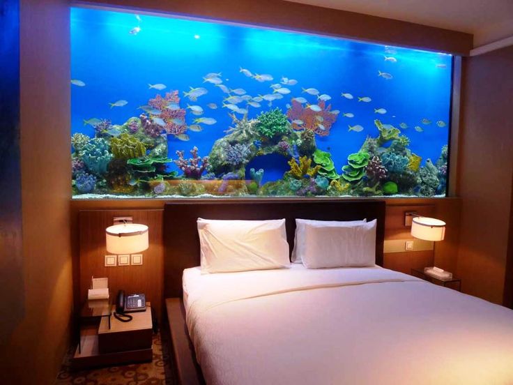 [Image: Huge-aquarium-takes-the-place-of-a-headboard.jpg]