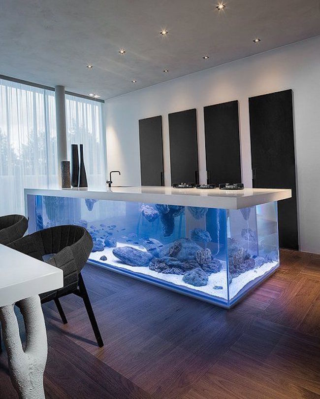 Fish Tank Headboard