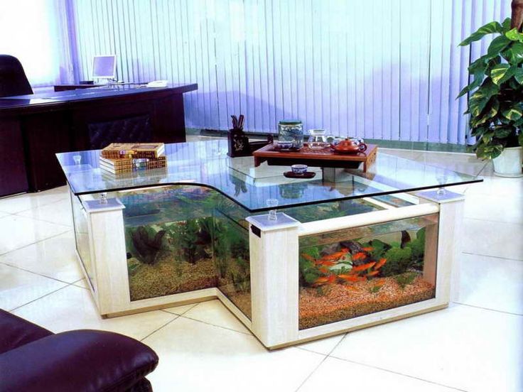 8 Extremely Interesting Places To Put An Aquarium In Your Home