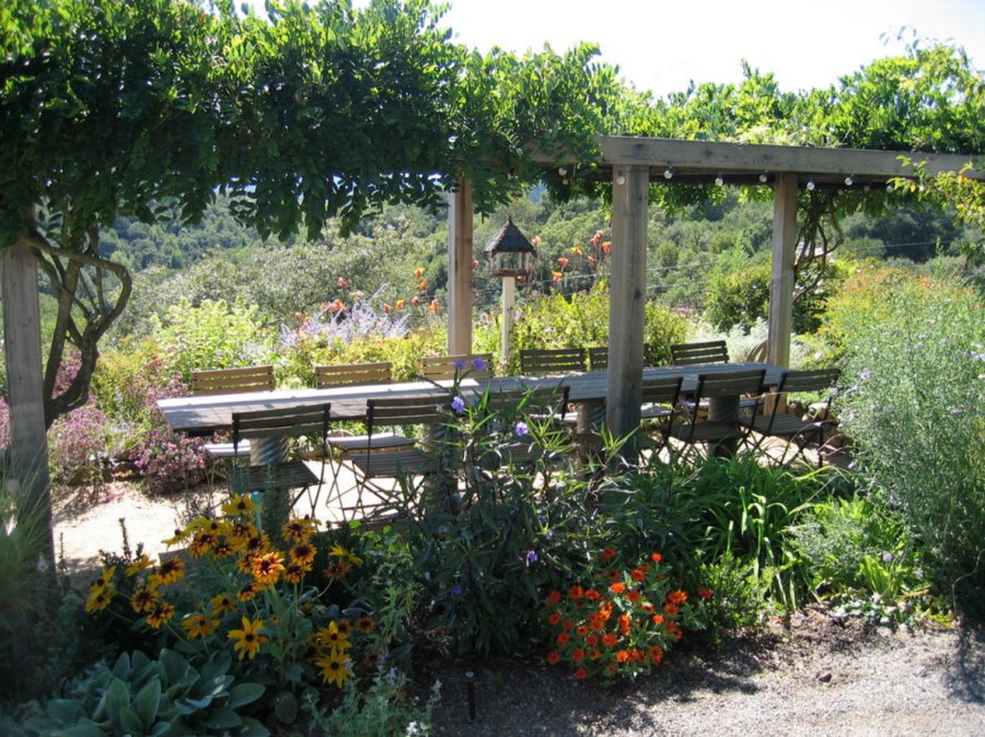 Long dining table surrounded by plants