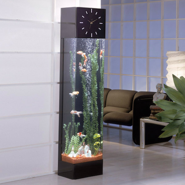 8 Extremely Interesting Places To Put An Aquarium In Your Home