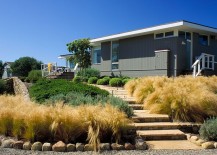 Mexican-feather-grass-shapes-the-gorgeous-landscape-around-the-beach-style-retreat-217x155