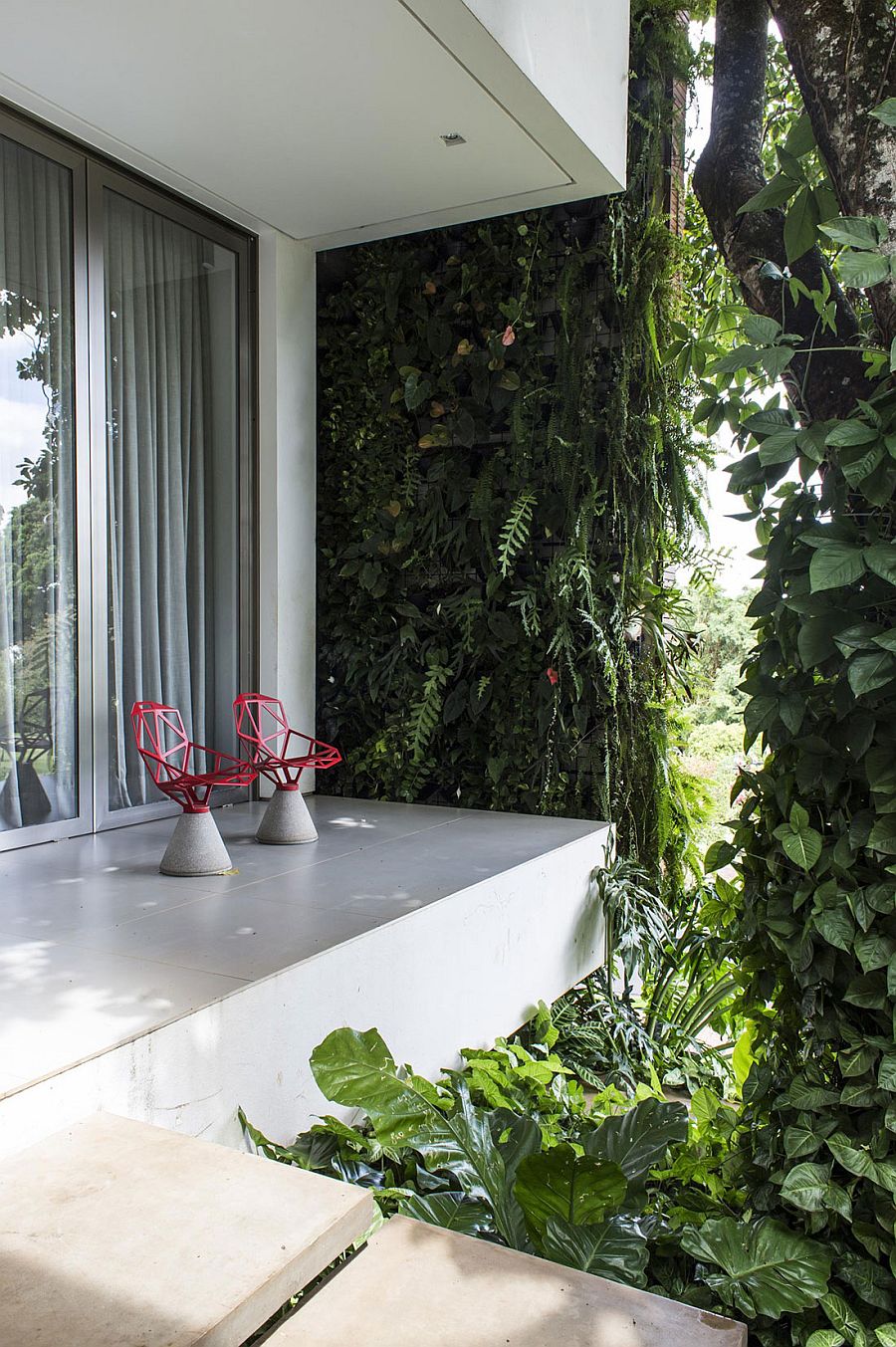 Natural greenery covers the contemporary home and extends indoors