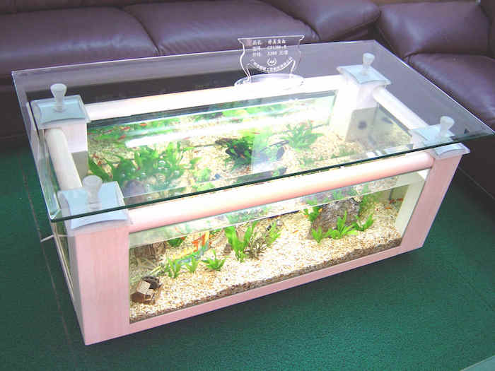 Rectangular coffee table aquarium