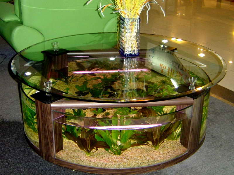 Fish tank dining outlet table