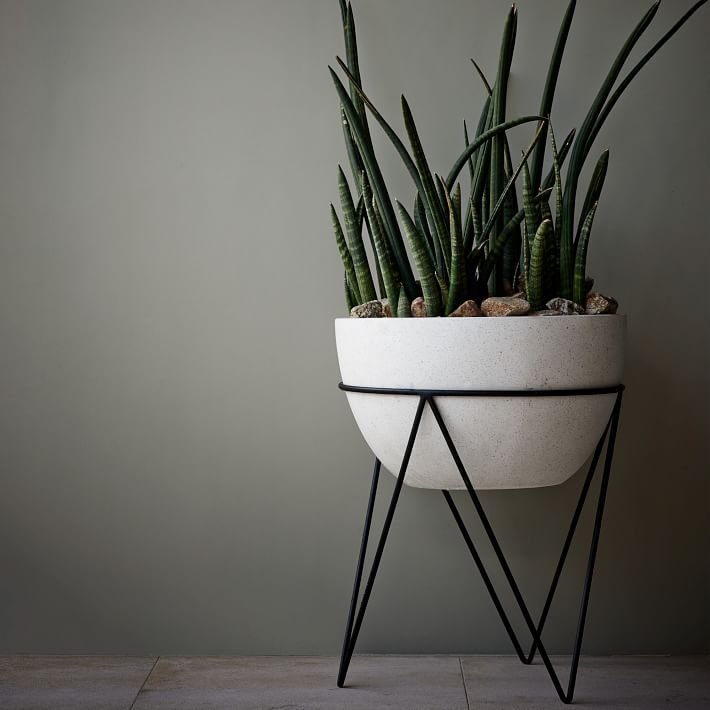 Sculptural planter from West Elm