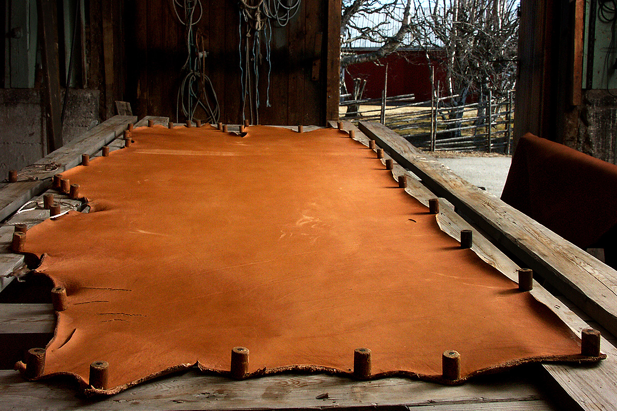 Spruce bark tanned Swedish cattle hide