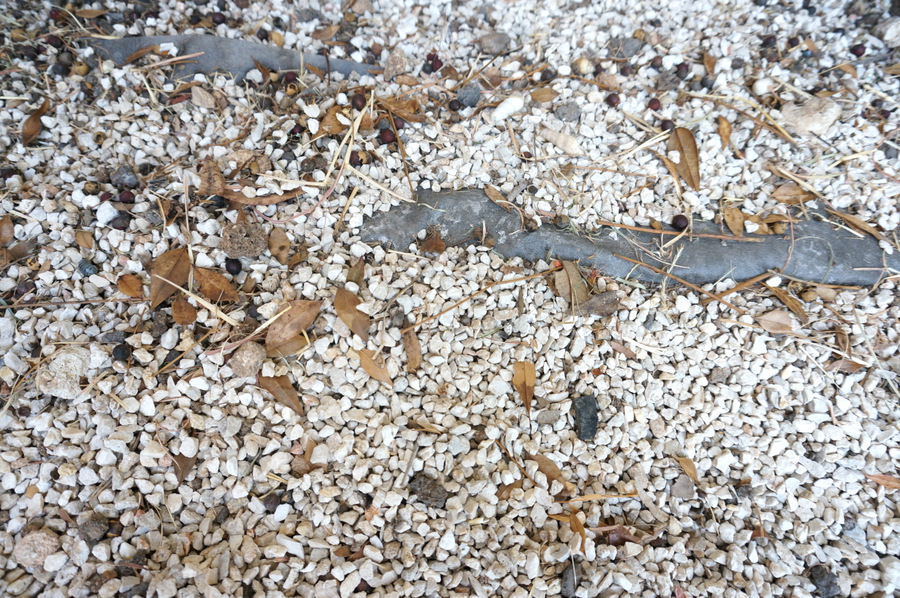 Weed barrier fabric sticking up through the gravel