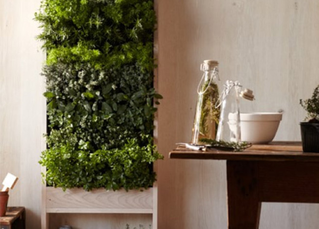 8 Simple Ways To Create An Indoor Vertical Garden In Your Home