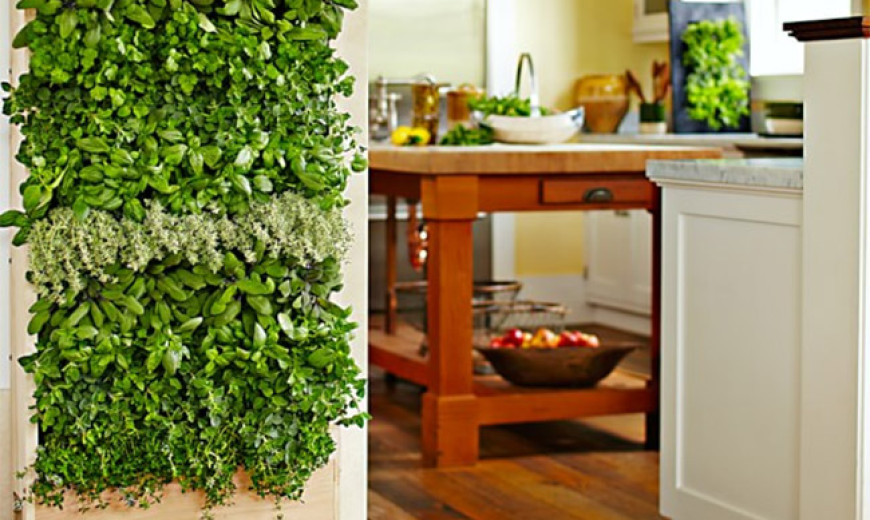 8 Easy Ways to Create a Vertical Garden Wall Inside Your Home