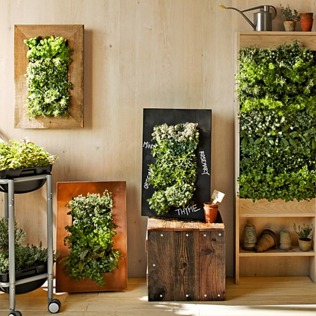 8 Simple Ways To Create An Indoor Vertical Garden In Your Home