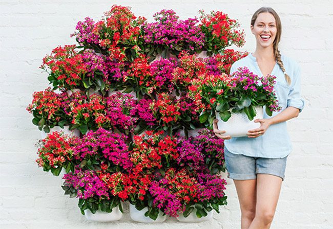 woman stands infront of floral vertical garden display
