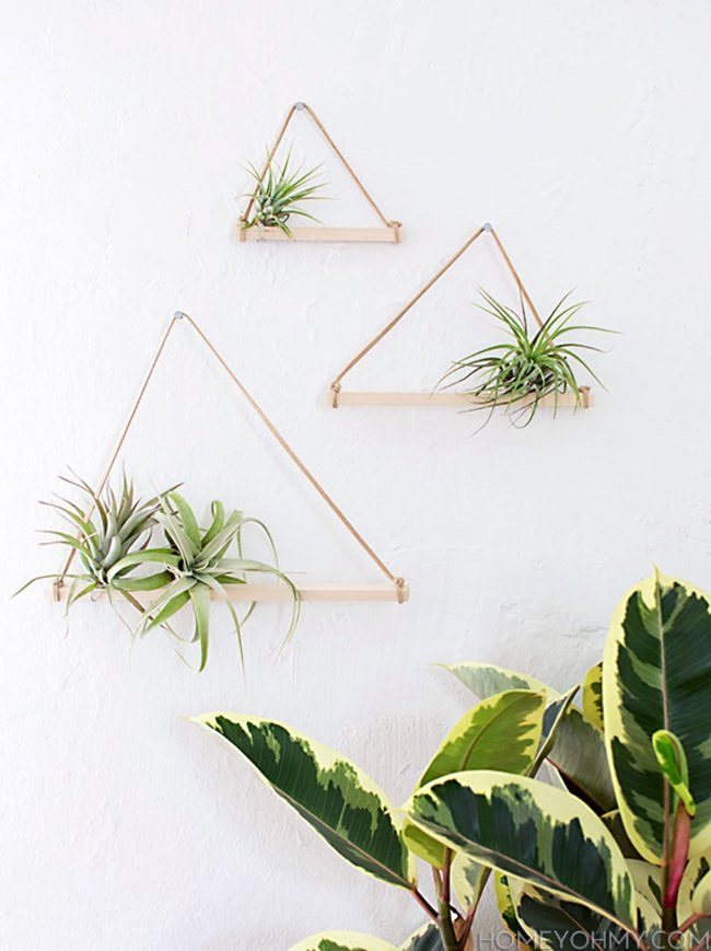 Air plant hangers from Homey Oh My!