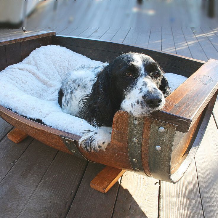 An adorable dog lounges in his wine barrel bed