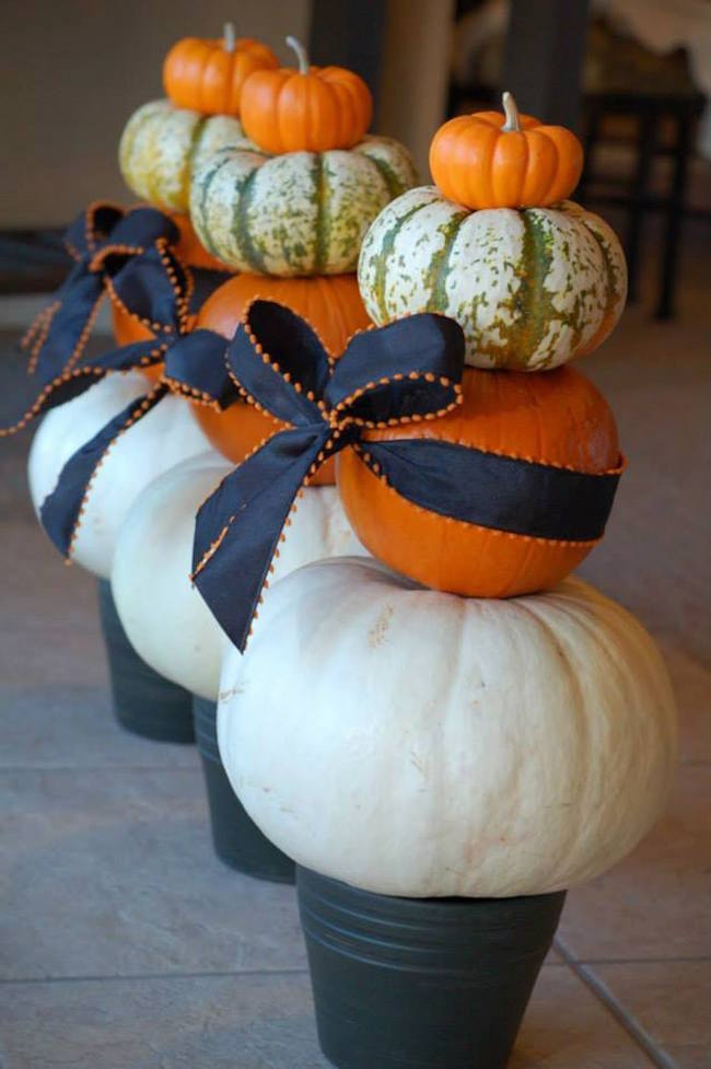 Beautiful pumpkins in planters with ribbon
