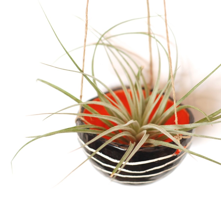 Black and orange hanging planter from McCheek's Mayhem