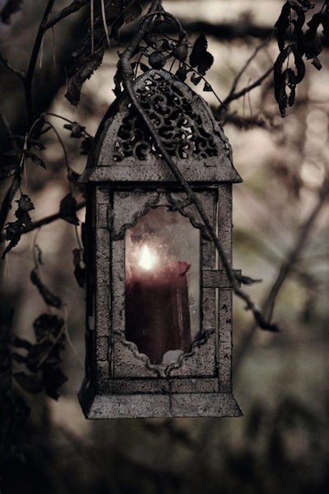 Black weathered lantern with candle hanging from tree