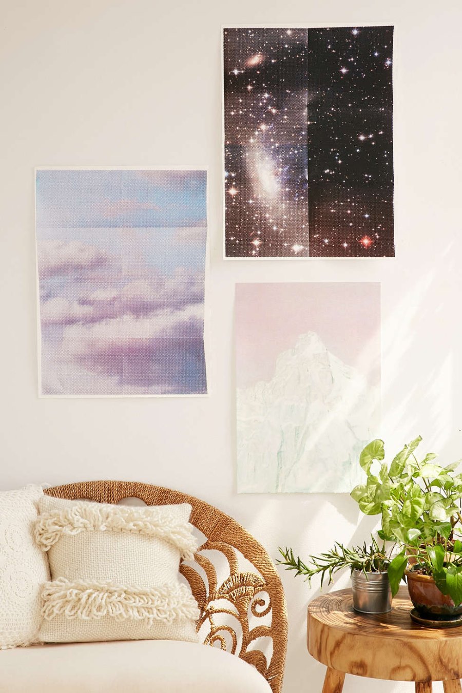 Cosmos art print from Urban Outfitters