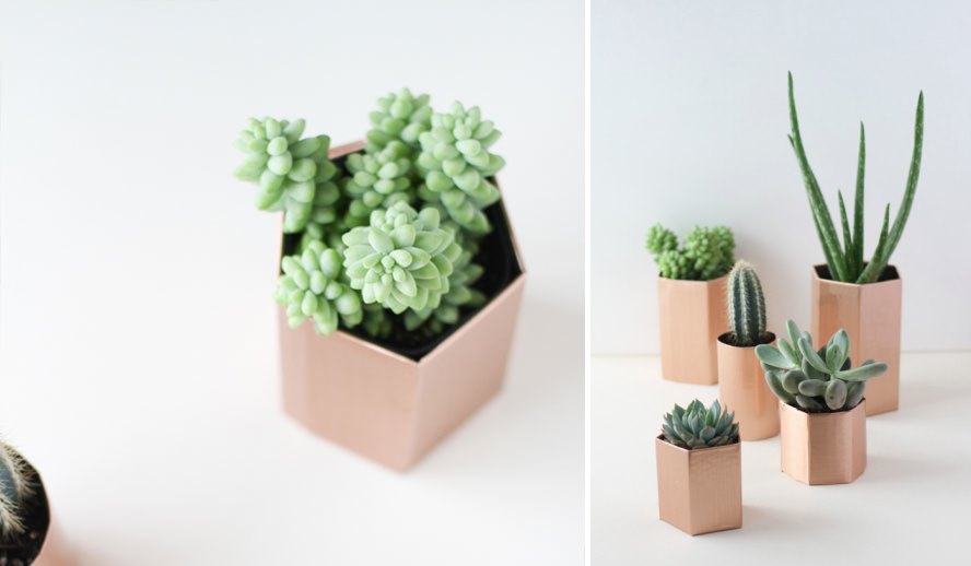 DIY hexagon planters from Curbly