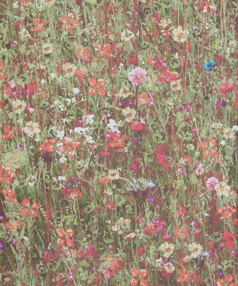 Hedge Mawston Meadow Wallpaper