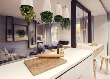 Ingenious-way-to-add-greenery-to-the-kitchen-and-living-room-217x155