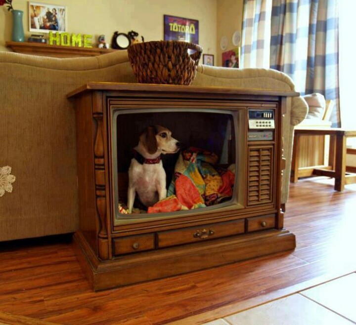Old television set turned into a stylishly retro dog bed