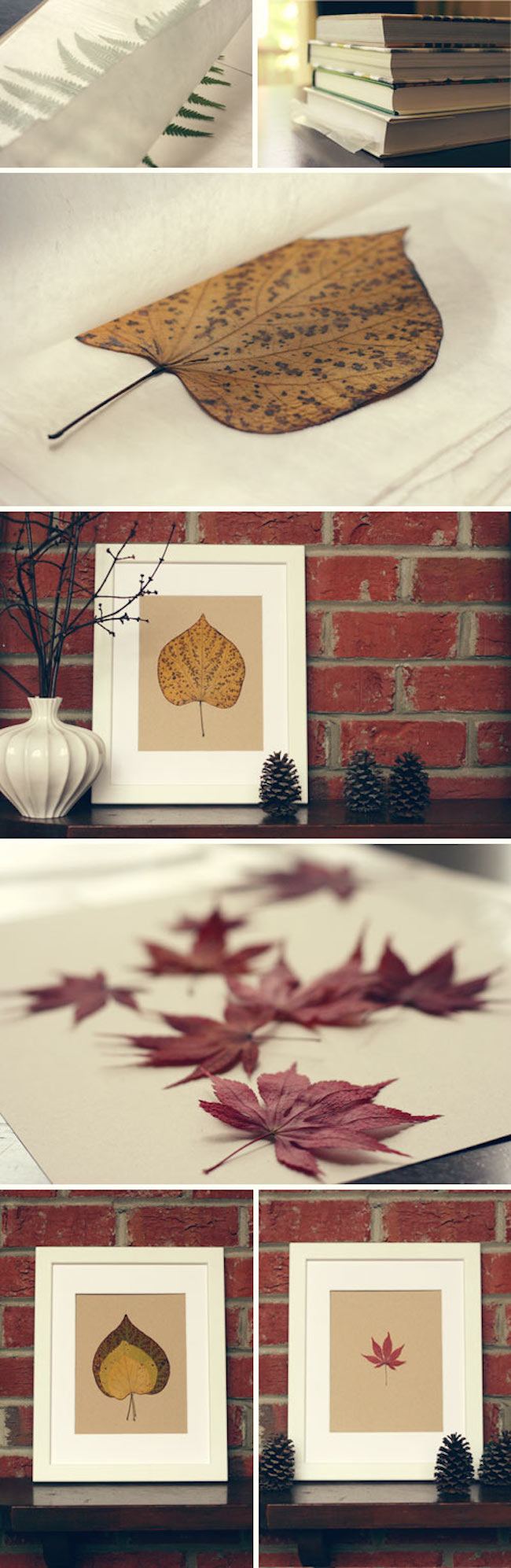 Pressed leaves in simple but gorgeous fall-themed frames