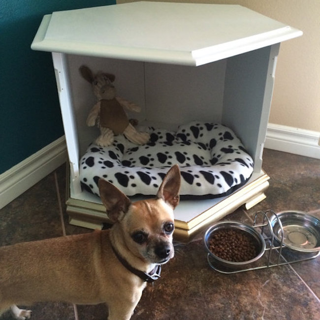 Simple dog bed that could be used as a table too