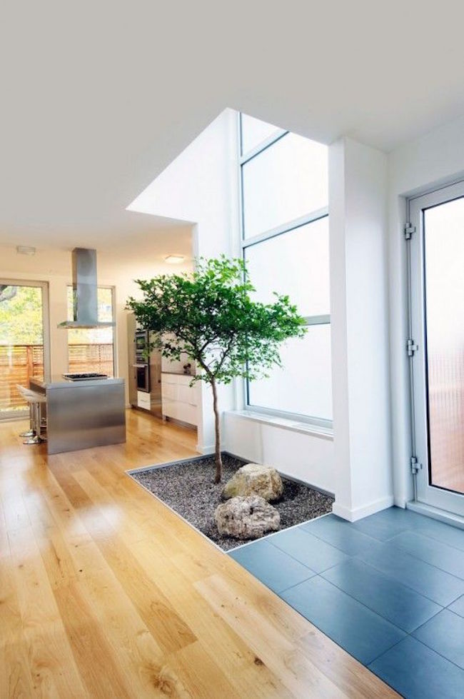 Small natural area for a tree inside a home