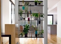 Smart-and-modern-way-to-create-a-green-wall-indoors-with-potted-plants-217x155