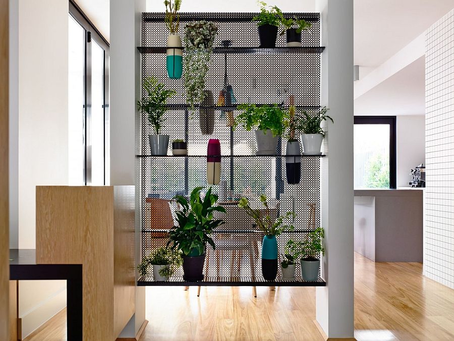 Smart and modern way to create a green wall indoors with potted plants