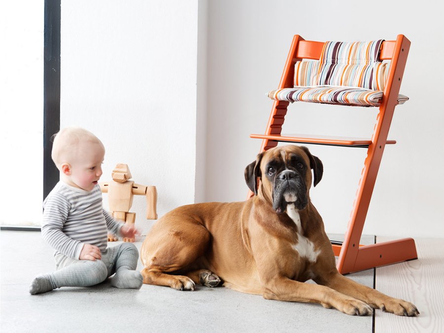 Tripp Trapp chair from Stokke