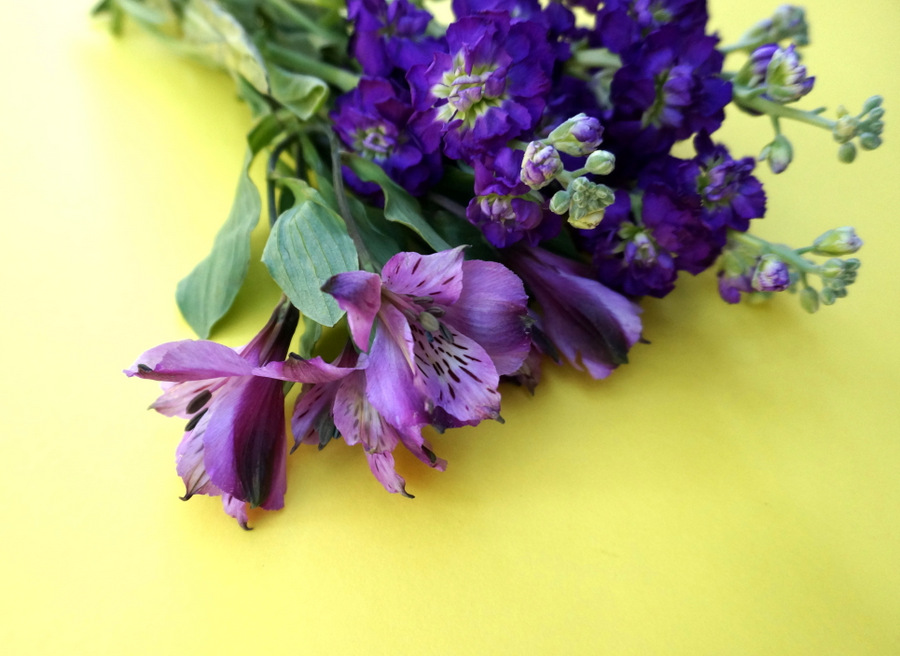A bouquet of purple flowers