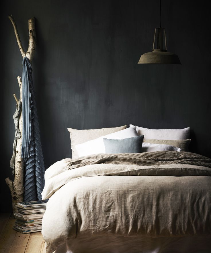 Birch tree limb as a clothing rack in a bedroom