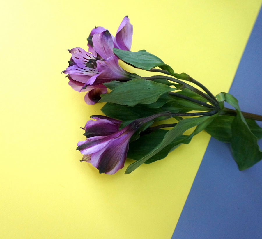 Purple alstroemeria make a regal statement